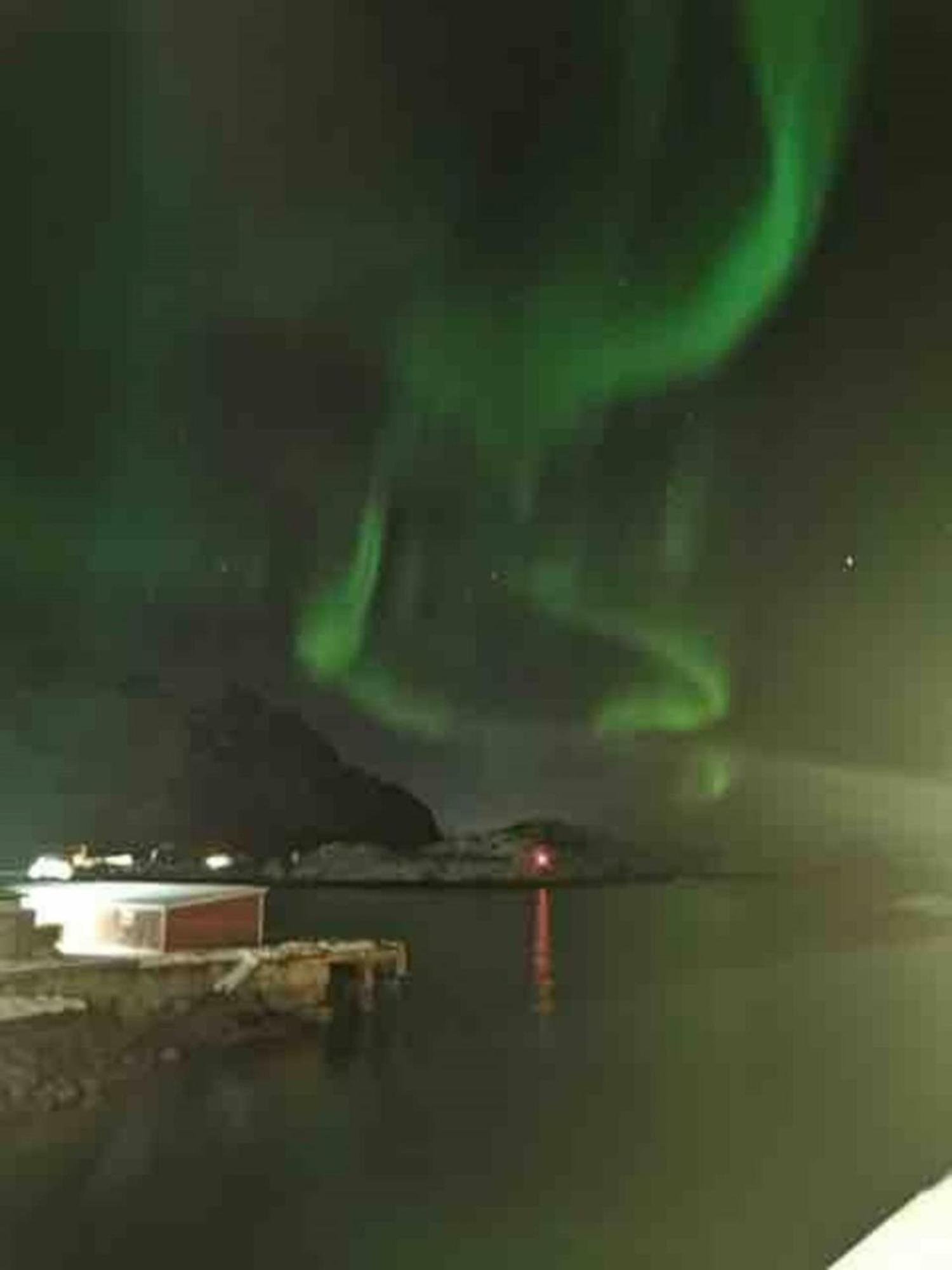 Ny Leilighet I Henningsvaer! Ngoại thất bức ảnh